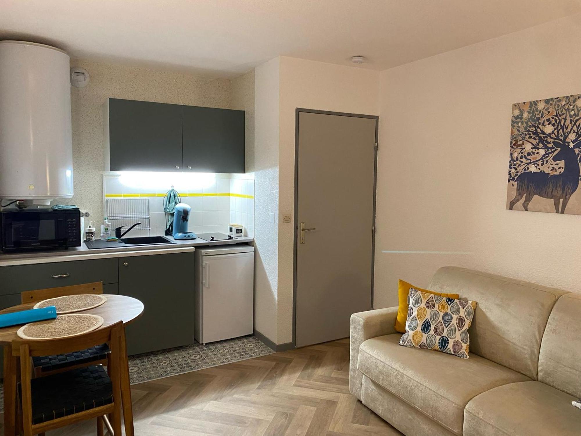 Studio Le Mont Beas Aulus-les-Bains Ngoại thất bức ảnh